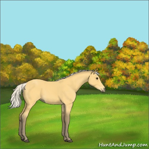 Horse Color:Silver Buckskin Sabino 