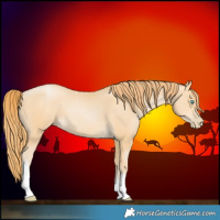 Horse Color:Buckskin Pearl Tobiano