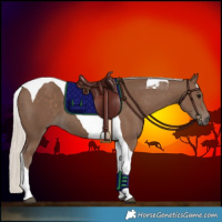 Horse Color:Silver Black Tobiano 