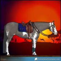 Horse Color:Grullo Sabino 