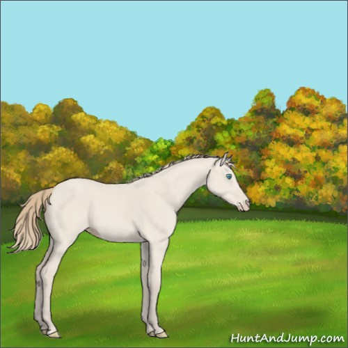 Horse Color:Smoky Creme Dun Sabino 