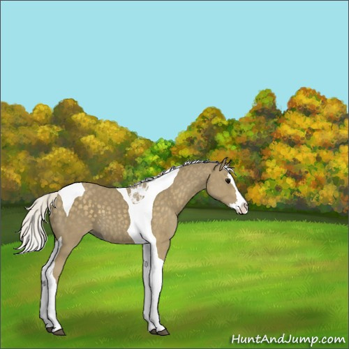 Horse Color:Silver Smoky Black Splash Tobiano 