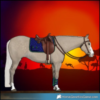 Horse Color:Silver Smoky Grullo Sabino 