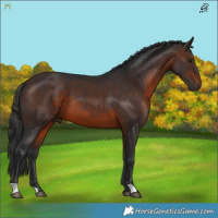 Horse Color:Brown 