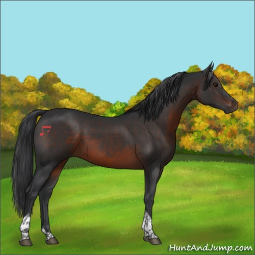 Horse Color:Brown Tobiano 