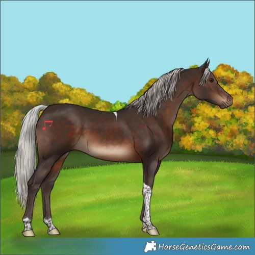 Horse Color:Silver Brown Tobiano 