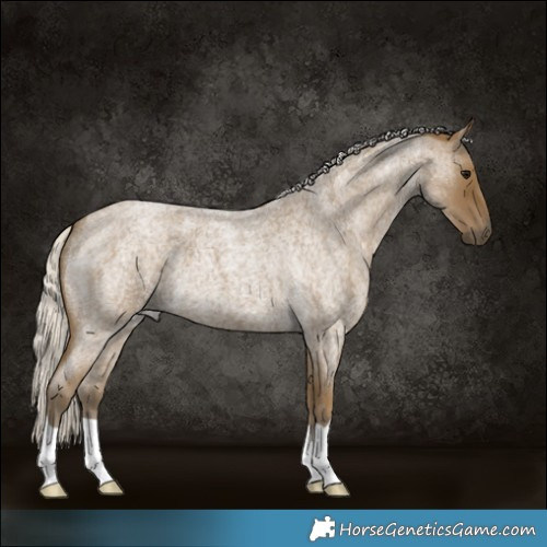 Horse Color:Silver Smoky Blue Roan