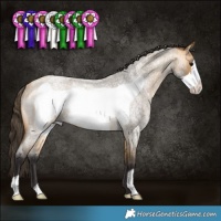 Horse Color:Buckskin Roan Frame Rabicano