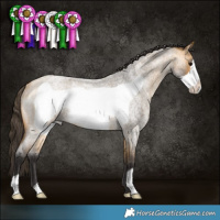 Horse Color:Buckskin Roan Frame Rabicano 