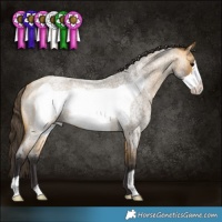 Horse Color:Buckskin Roan Frame Rabicano