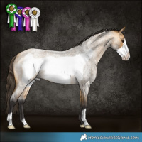 Horse Color:Buckskin Roan Frame Rabicano 