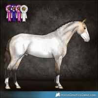 Horse Color:Buckskin Roan Frame Rabicano 