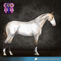 Horse Color:Buckskin Roan Frame Rabicano