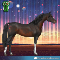Horse Color:Brown Tobiano Varnish 