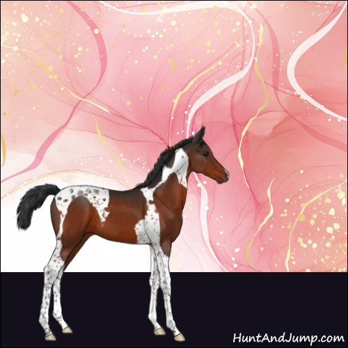 Horse Color:Brown Tobiano 