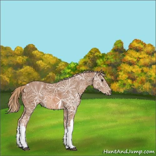 Horse Color:Chestnut Ice 