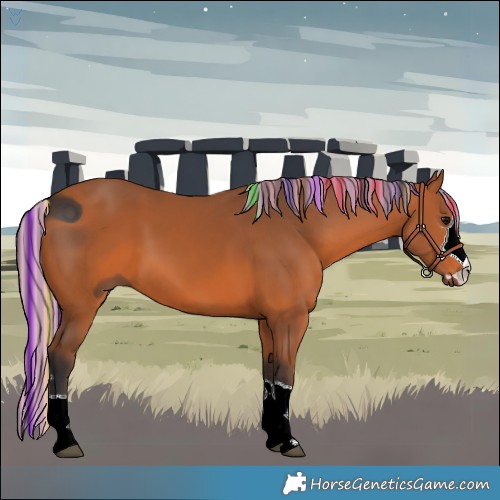 Horse Color:ERROR: UNKNOWN ANOMALY