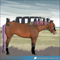 Horse Color:ERROR: UNKNOWN ANOMALY