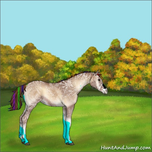 Horse Color:Painted Red Onyx Ice 