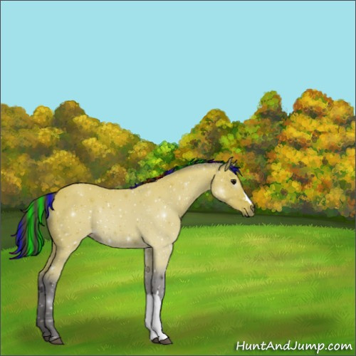 Horse Color:Painted Buckskin 