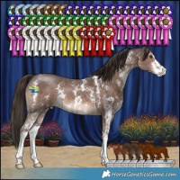 Horse Color:Liver Chestnut Sabino 