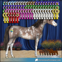 Horse Color:Liver Chestnut Sabino