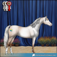 Horse Color:Gray Silver Amber Champagne Roan 
