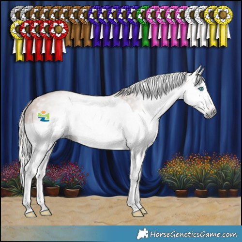 Horse Color:Gray Silver Sable Champagne Splash 
