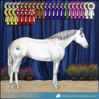 Horse Color:Gray Silver Sable Champagne Splash 