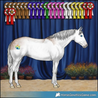 Horse Color:Gray Silver Sable Champagne Splash