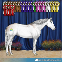Horse Color:Gray Silver Sable Champagne Splash 