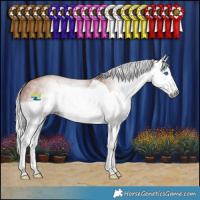 Horse Color:Gray Silver Sable Champagne Splash 