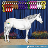 Horse Color:Gray Silver Sable Champagne Splash