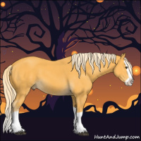 Horse Color:Palomino Splash 