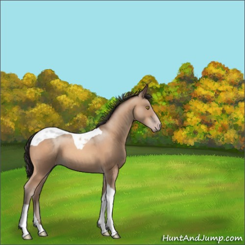 Horse Color:Sable Champagne Tobiano