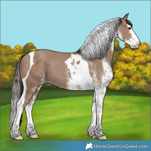 Horse Color:White Spotted Classic Champagne Splash Tobiano 