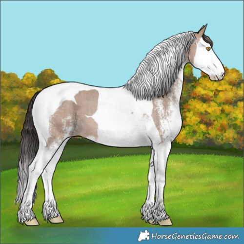 Horse Color:White Spotted Sable Champagne Splash Tobiano 