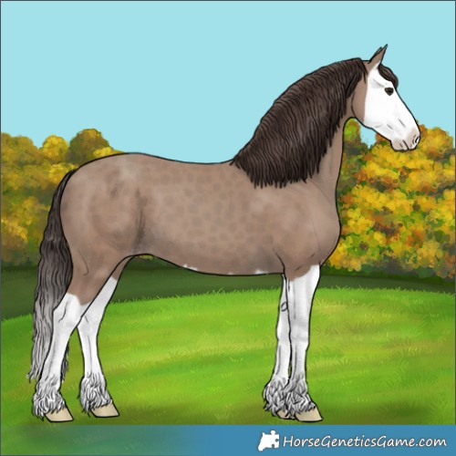 Horse Color:Classic Champagne Splash 