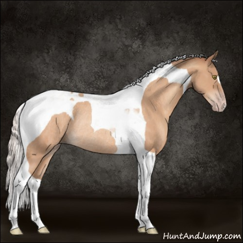 Horse Color:Silver Amber Champagne Tobiano Rabicano