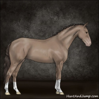 Horse Color:Classic Champagne 