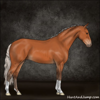 Horse Color:Silver Bay 