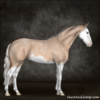Horse Color:Silver Bay Roan Dun Splash 