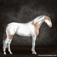 Horse Color:Amber Champagne Tobiano Frame Appaloosa Rabicano 