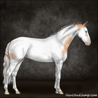 Horse Color:Silver Amber Champagne Splash Tobiano Frame Rabicano 