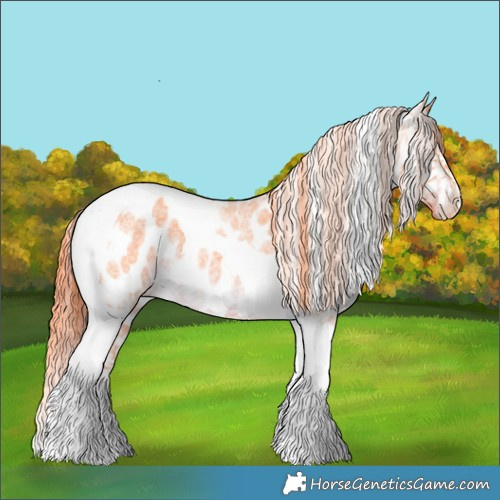 Horse Color:Watercolor Liver Red Roan Tobiano Appaloosa 