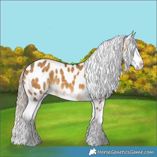 Horse Color:White Spotted Chocolate Palomino Dun Tobiano Appaloosa Rabicano 