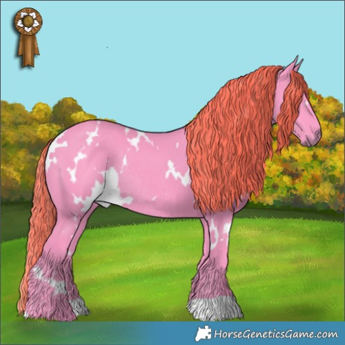 Horse Color:Watercolor White Spotted Liver Chestnut Rabicano 