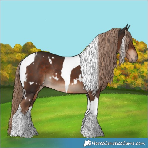 Horse Color:White Spotted Liver Chestnut Tobiano Rabicano 