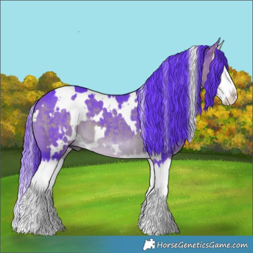 Horse Color:Watercolor White Spotted Buckskin Splash 