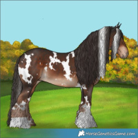 Horse Color:White Spotted Liver Chestnut 